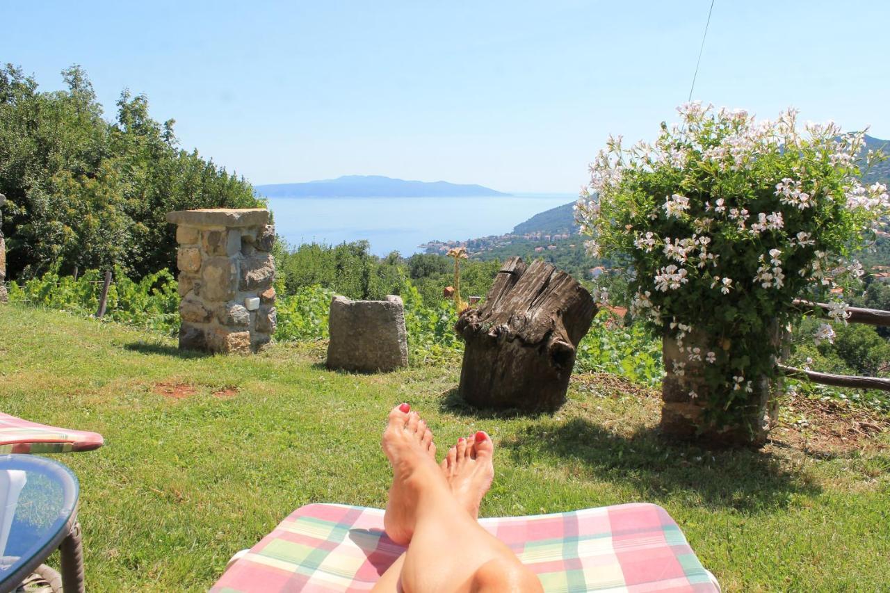2 In Old Stone House Near Opatija *